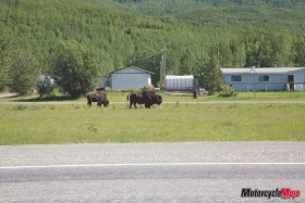 Motorcycle-Mojo_40_Alaska